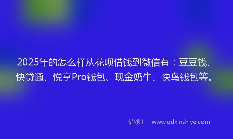 2025年的怎么样从花呗借钱到微信有：豆豆钱、快贷通、悦享Pro钱包、现金奶牛、快鸟钱包等。