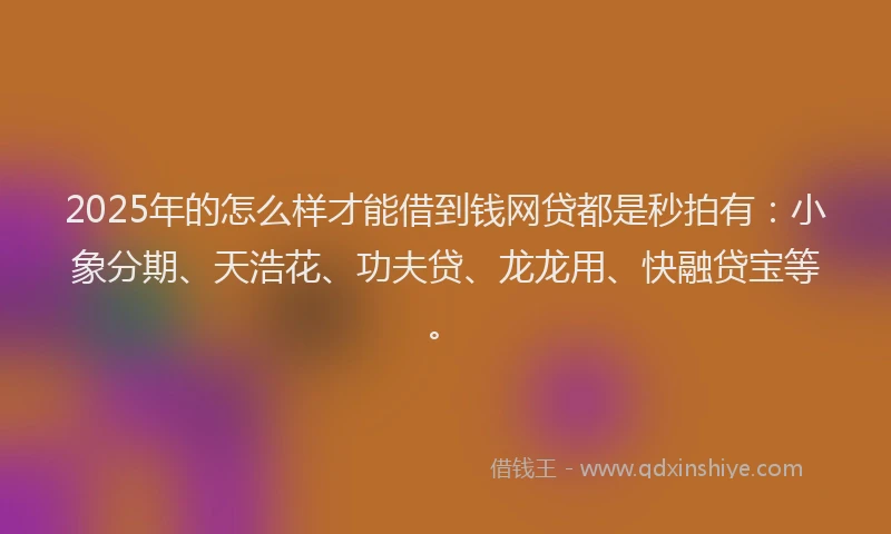 2025年的怎么样才能借到钱网贷都是秒拍有：小象分期、天浩花、功夫贷、龙龙用、快融贷宝等。