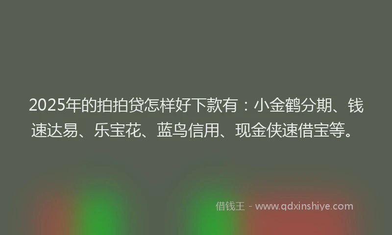 2025年的拍拍贷怎样好下款有：小金鹤分期、钱速达易、乐宝花、蓝鸟信用、现金侠速借宝等。