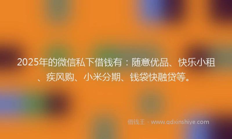 2025年的微信私下借钱有：随意优品、快乐小租、疾风购、小米分期、钱袋快融贷等。