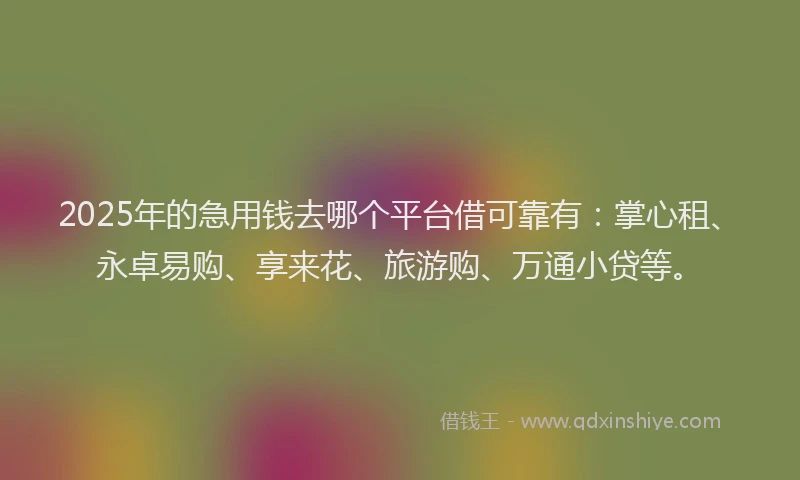 2025年的急用钱去哪个平台借可靠有：掌心租、永卓易购、享来花、旅游购、万通小贷等。