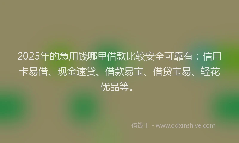 2025年的急用钱哪里借款比较安全可靠有：信用卡易借、现金速贷、借款易宝、借贷宝易、轻花优品等。