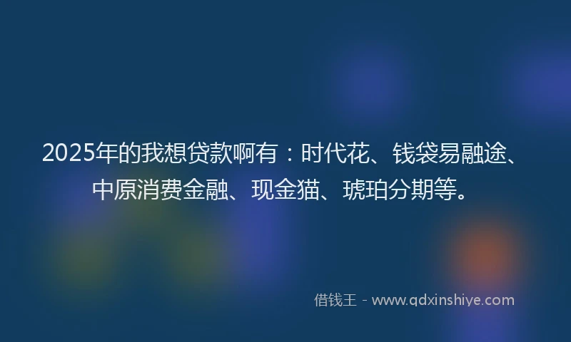 2025年的我想贷款啊有：时代花、钱袋易融途、中原消费金融、现金猫、琥珀分期等。