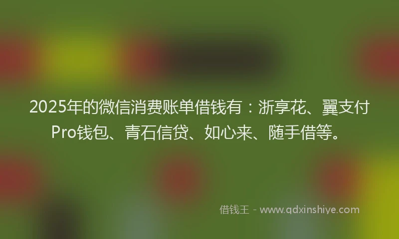 2025年的微信消费账单借钱有：浙享花、翼支付Pro钱包、青石信贷、如心来、随手借等。
