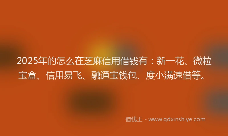 2025年的怎么在芝麻信用借钱有：新一花、微粒宝盒、信用易飞、融通宝钱包、度小满速借等。