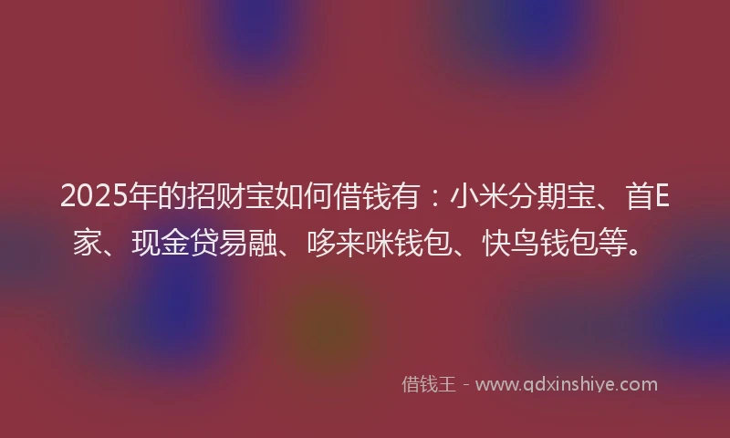 2025年的招财宝如何借钱有：小米分期宝、首E家、现金贷易融、哆来咪钱包、快鸟钱包等。