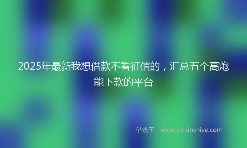 2025年最新我想借款不看征信的，汇总五个高炮能下款的平台