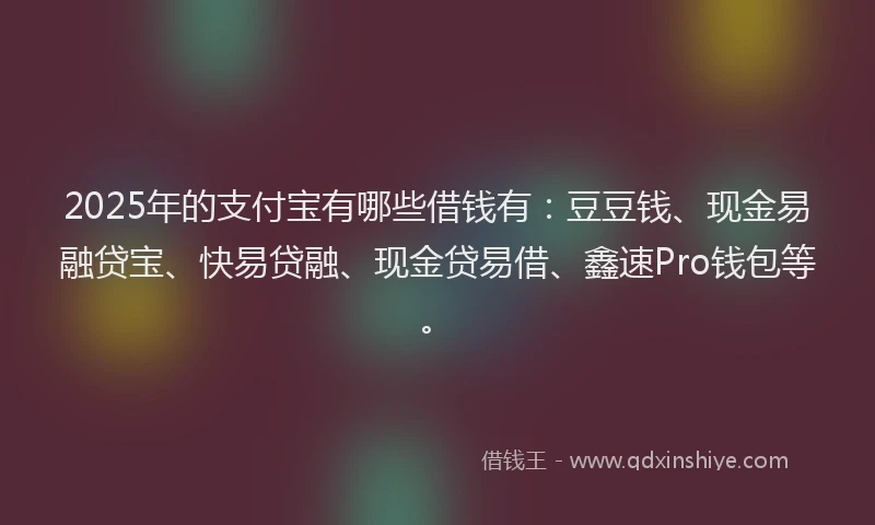 2025年的支付宝有哪些借钱有：豆豆钱、现金易融贷宝、快易贷融、现金贷易借、鑫速Pro钱包等。