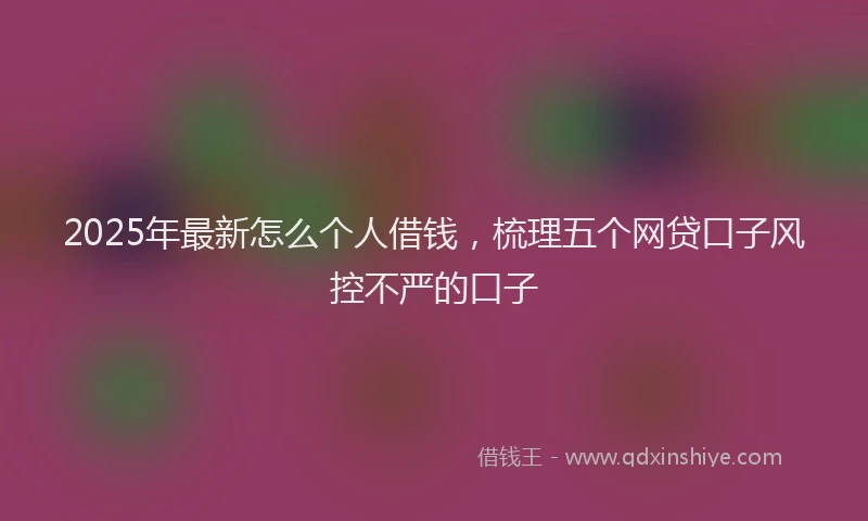 2025年最新怎么个人借钱，梳理五个网贷口子风控不严的口子
