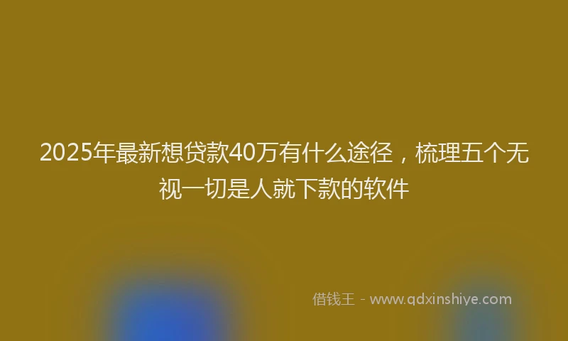 2025年最新想贷款40万有什么途径，梳理五个无视一切是人就下款的软件