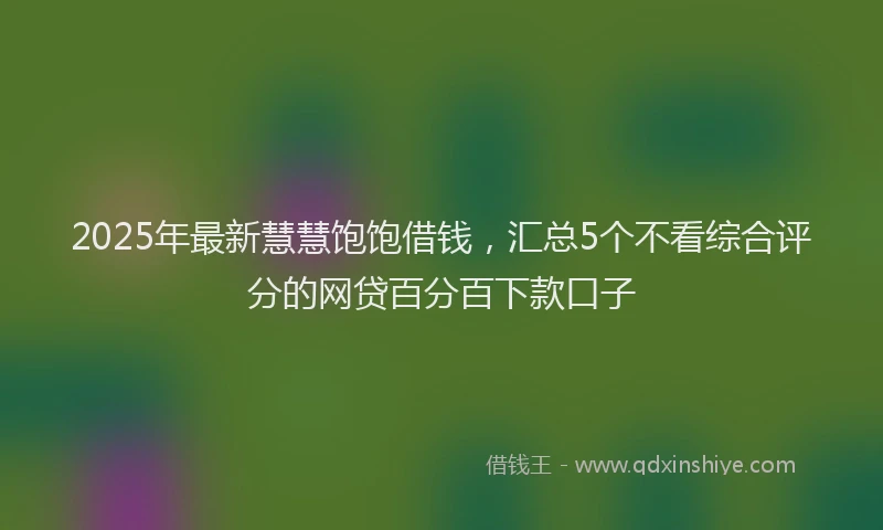 2025年最新慧慧饱饱借钱，汇总5个不看综合评分的网贷百分百下款口子