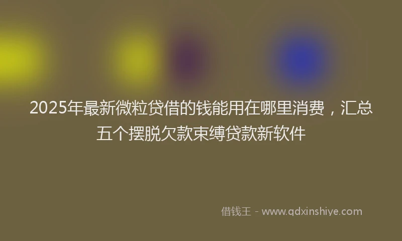 2025年最新微粒贷借的钱能用在哪里消费，汇总五个摆脱欠款束缚贷款新软件