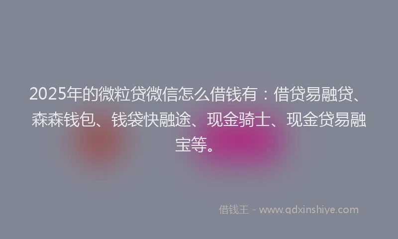 2025年的微粒贷微信怎么借钱有：借贷易融贷、森森钱包、钱袋快融途、现金骑士、现金贷易融宝等。