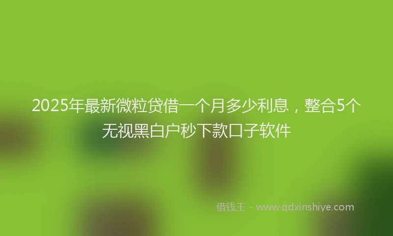 2025年最新微粒贷借一个月多少利息，整合5个无视黑白户秒下款口子软件