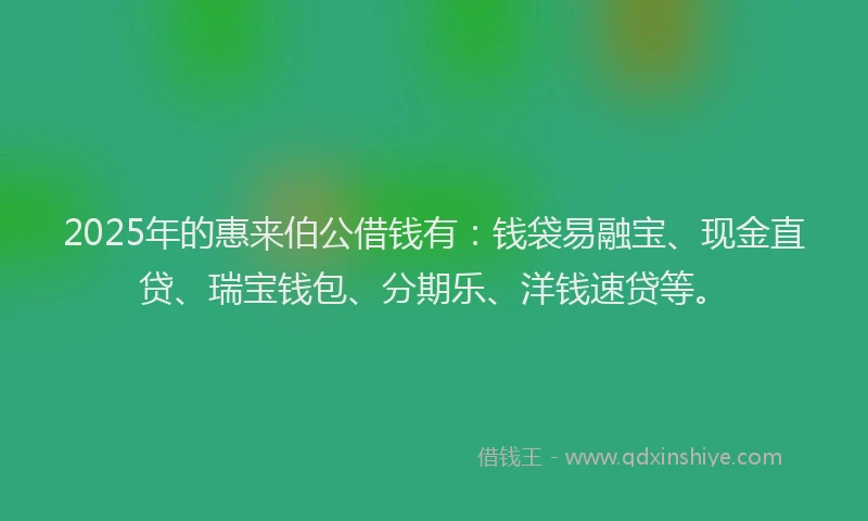 2025年的惠来伯公借钱有：钱袋易融宝、现金直贷、瑞宝钱包、分期乐、洋钱速贷等。