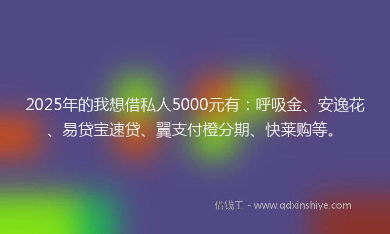 2025年的我想借私人5000元有：呼吸金、安逸花、易贷宝速贷、翼支付橙分期、快莱购等。