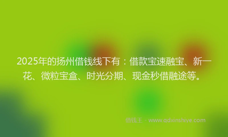 2025年的扬州借钱线下有：借款宝速融宝、新一花、微粒宝盒、时光分期、现金秒借融途等。