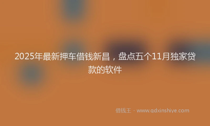 2025年最新押车借钱新昌，盘点五个11月独家贷款的软件