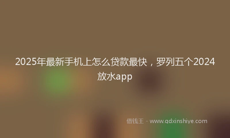 2025年最新手机上怎么贷款最快，罗列五个2024放水app