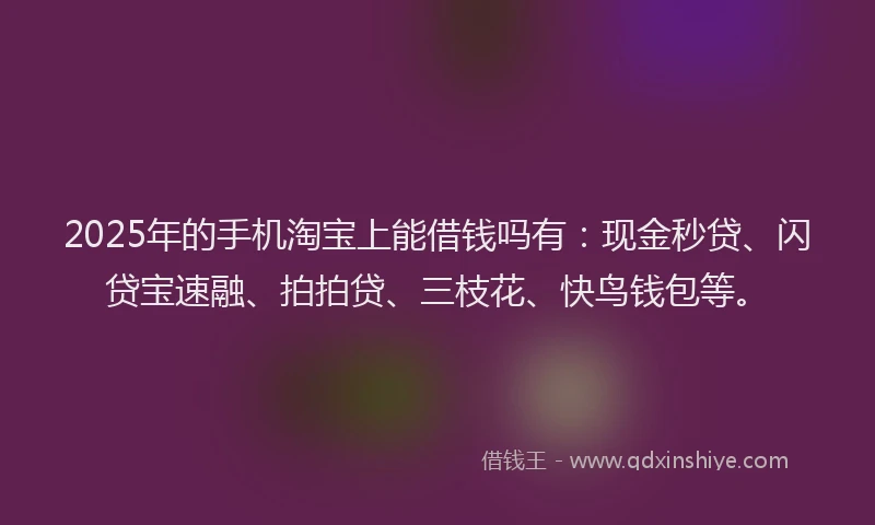 2025年的手机淘宝上能借钱吗有：现金秒贷、闪贷宝速融、拍拍贷、三枝花、快鸟钱包等。