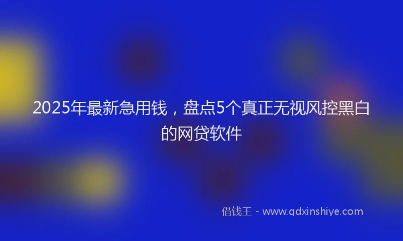2025年最新急用钱，盘点5个真正无视风控黑白的网贷软件