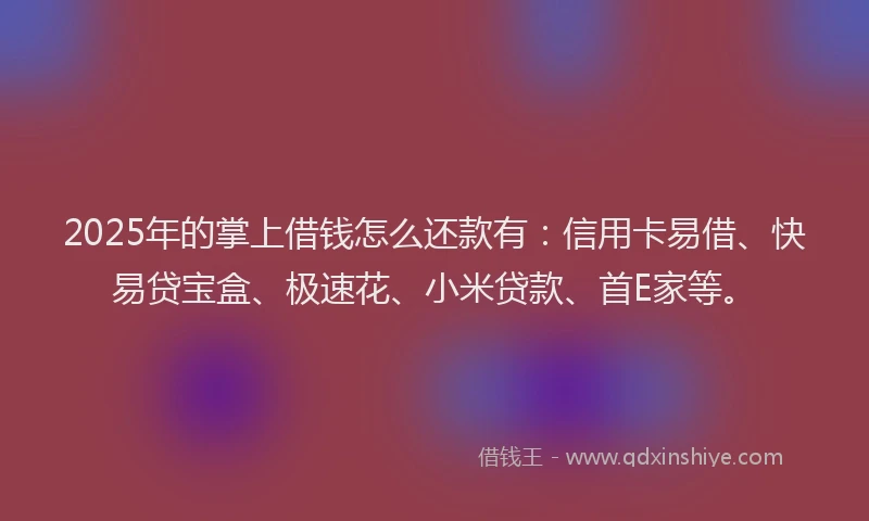 2025年的掌上借钱怎么还款有：信用卡易借、快易贷宝盒、极速花、小米贷款、首E家等。