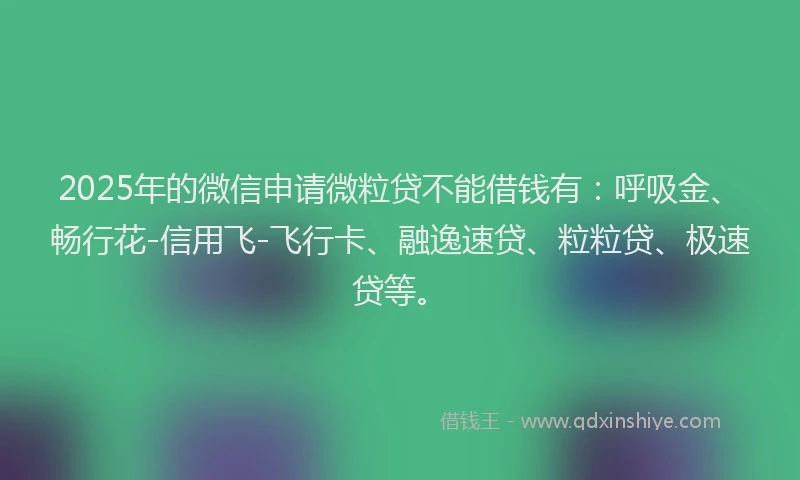2025年的微信申请微粒贷不能借钱有：呼吸金、畅行花-信用飞-飞行卡、融逸速贷、粒粒贷、极速贷等。