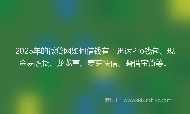 2025年的微贷网如何借钱有：迅达Pro钱包、现金易融贷、龙龙享、麦芽快借、瞬借宝贷等。