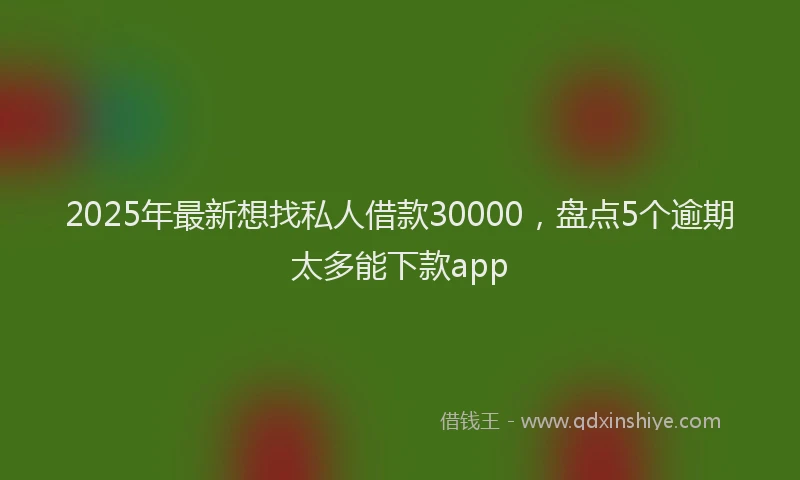 2025年最新想找私人借款30000，盘点5个逾期太多能下款app