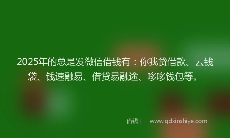 2025年的总是发微信借钱有：你我贷借款、云钱袋、钱速融易、借贷易融途、哆哆钱包等。