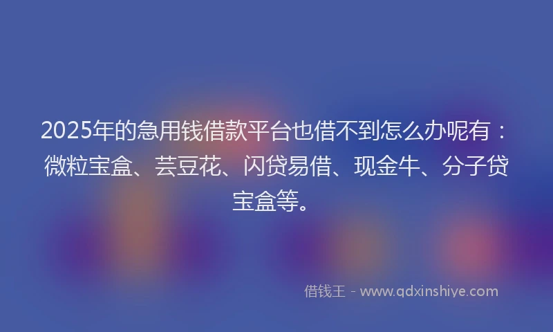 2025年的急用钱借款平台也借不到怎么办呢有：微粒宝盒、芸豆花、闪贷易借、现金牛、分子贷宝盒等。