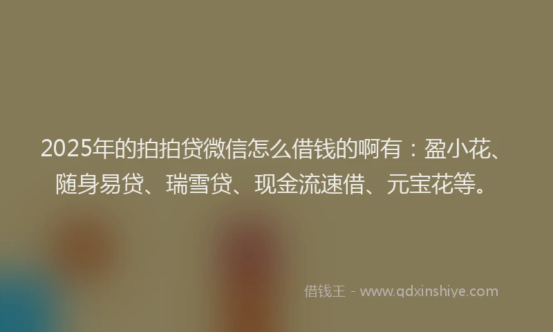 2025年的拍拍贷微信怎么借钱的啊有：盈小花、随身易贷、瑞雪贷、现金流速借、元宝花等。