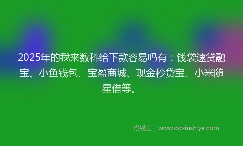 2025年的我来数科给下款容易吗有：钱袋速贷融宝、小鱼钱包、宝盈商城、现金秒贷宝、小米随星借等。