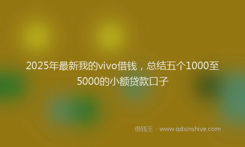 2025年最新我的vivo借钱，总结五个1000至5000的小额贷款口子