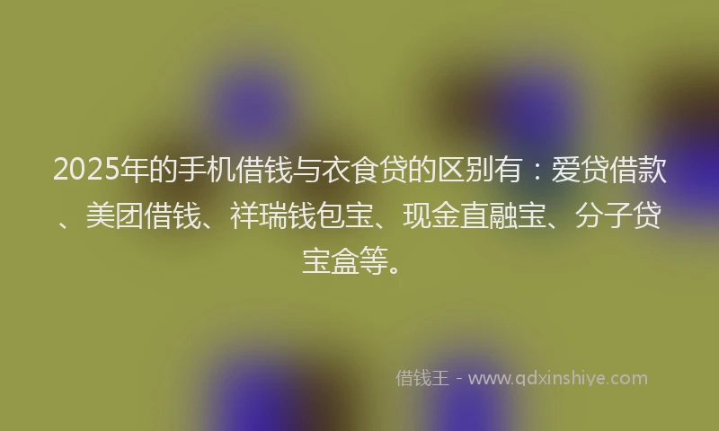 2025年的手机借钱与衣食贷的区别有：爱贷借款、美团借钱、祥瑞钱包宝、现金直融宝、分子贷宝盒等。
