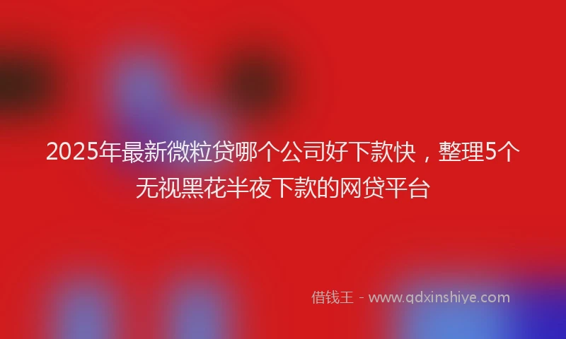 2025年最新微粒贷哪个公司好下款快，整理5个无视黑花半夜下款的网贷平台