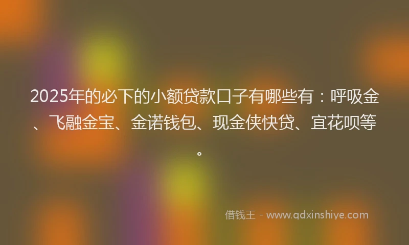 2025年的必下的小额贷款口子有哪些有：呼吸金、飞融金宝、金诺钱包、现金侠快贷、宜花呗等。