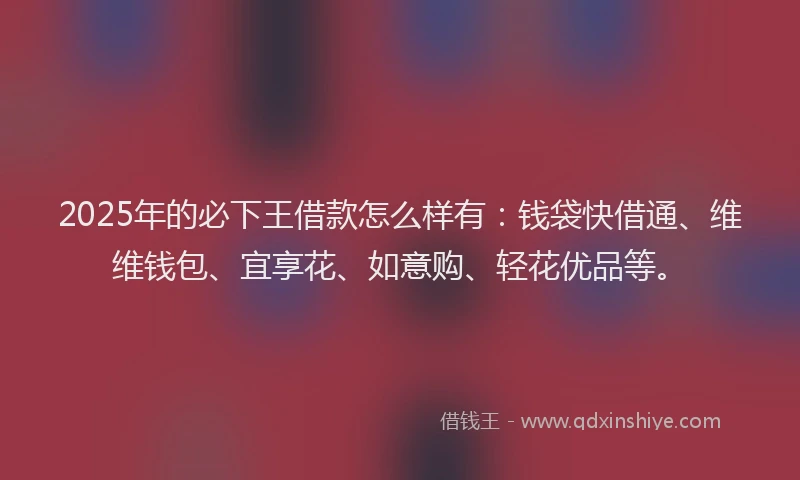 2025年的必下王借款怎么样有：钱袋快借通、维维钱包、宜享花、如意购、轻花优品等。