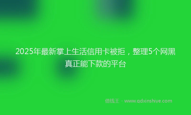 2025年最新掌上生活信用卡被拒，整理5个网黑真正能下款的平台