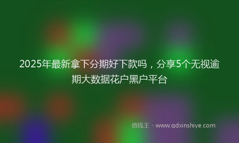 2025年最新拿下分期好下款吗，分享5个无视逾期大数据花户黑户平台