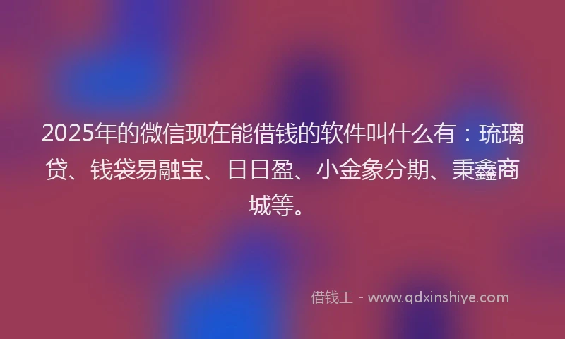 2025年的微信现在能借钱的软件叫什么有：琉璃贷、钱袋易融宝、日日盈、小金象分期、秉鑫商城等。