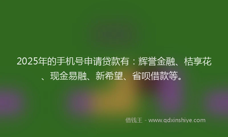 2025年的手机号申请贷款有：辉誉金融、桔享花、现金易融、新希望、省呗借款等。
