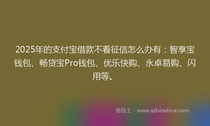2025年的支付宝借款不看征信怎么办有：智享宝钱包、畅贷宝Pro钱包、优乐快购、永卓易购、闪用等。