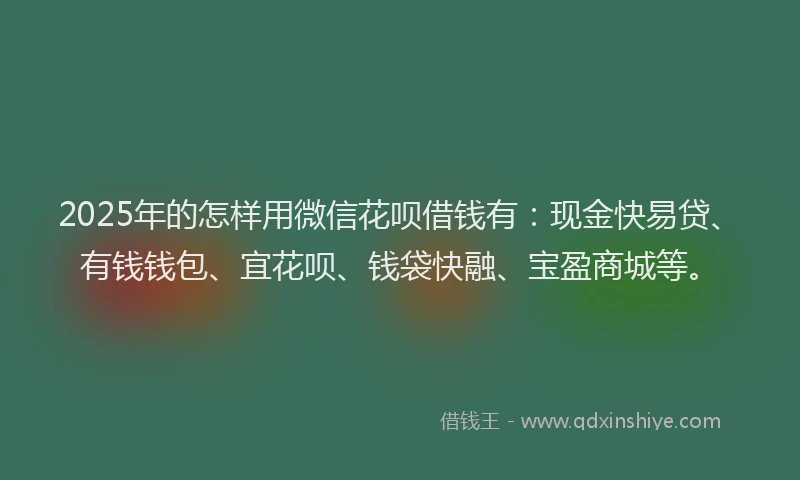 2025年的怎样用微信花呗借钱有：现金快易贷、有钱钱包、宜花呗、钱袋快融、宝盈商城等。