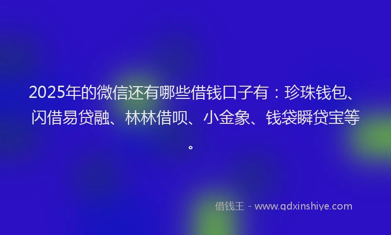 2025年的微信还有哪些借钱口子有：珍珠钱包、闪借易贷融、林林借呗、小金象、钱袋瞬贷宝等。