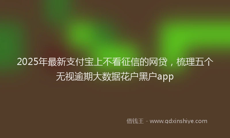2025年最新支付宝上不看征信的网贷，梳理五个无视逾期大数据花户黑户app