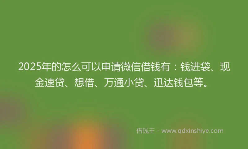 2025年的怎么可以申请微信借钱有：钱进袋、现金速贷、想借、万通小贷、迅达钱包等。