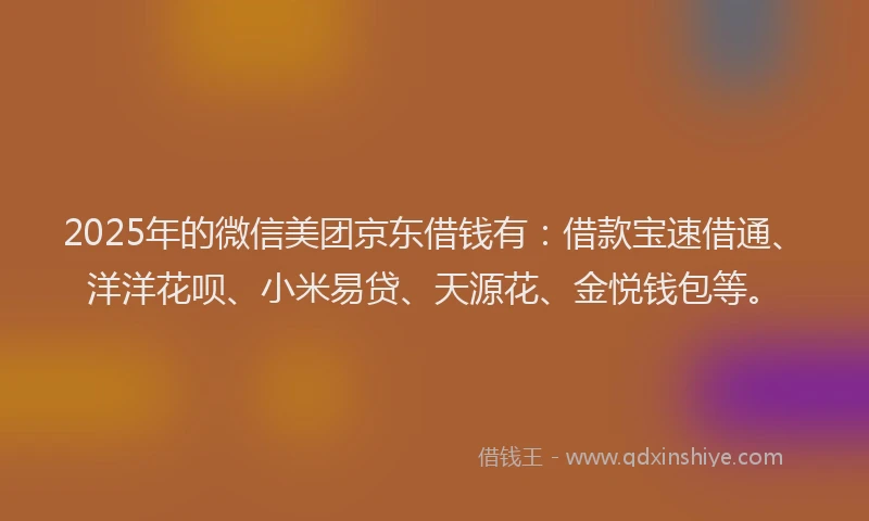 2025年的微信美团京东借钱有：借款宝速借通、洋洋花呗、小米易贷、天源花、金悦钱包等。