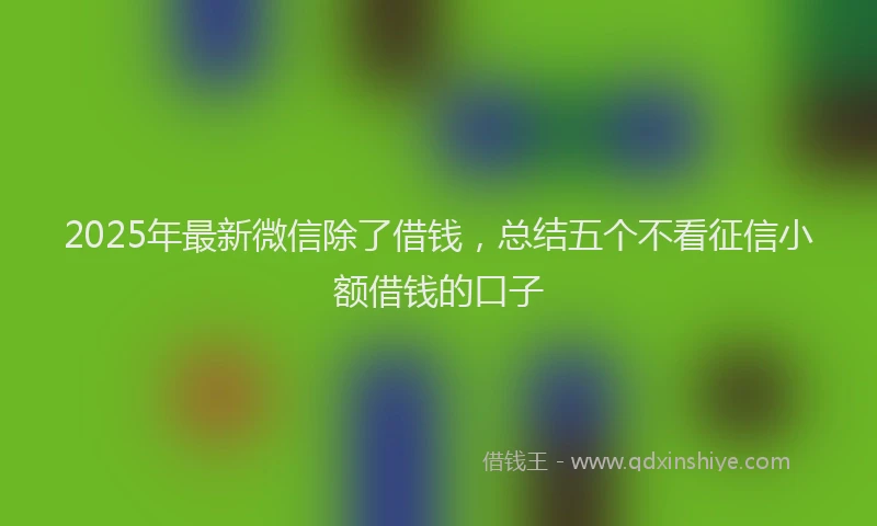 2025年最新微信除了借钱，总结五个不看征信小额借钱的口子