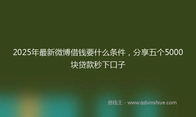 2025年最新微博借钱要什么条件，分享五个5000块贷款秒下口子